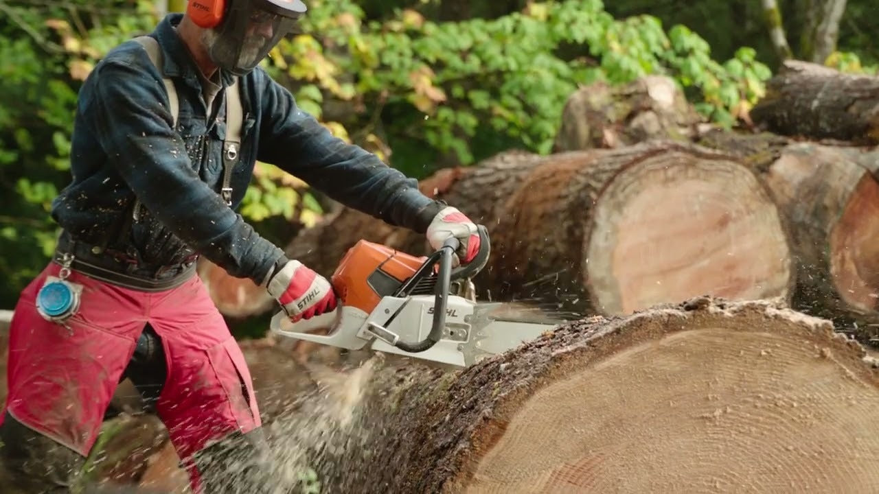 STIHL® MS 661 R C-M MAGNUM® – Abbott's Pro-Power